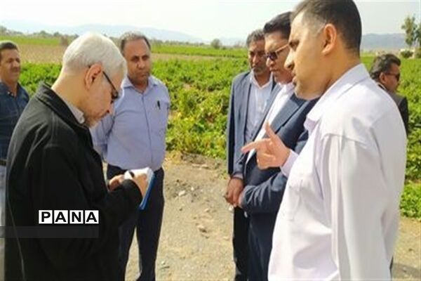 بازدید رئیس سازمان ملی تعلیم و تربیت کودک از مدارس رودان