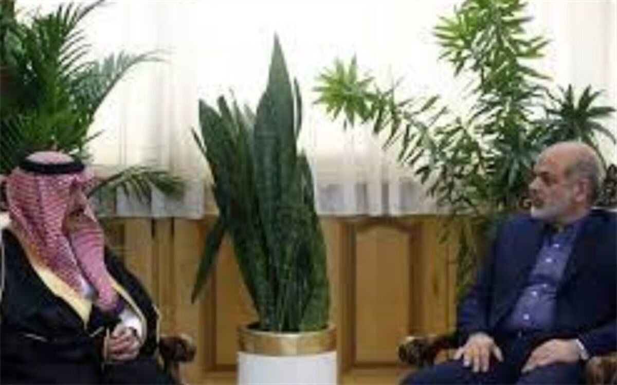 سفیر عربستان در تهران با وزیر کشور دیدار کرد