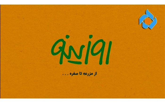 نگاهی به پرورش بوقلمون در سفر جدید «روزینو» به زنجان