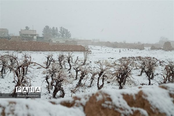 بارش برف در خلیل آباد