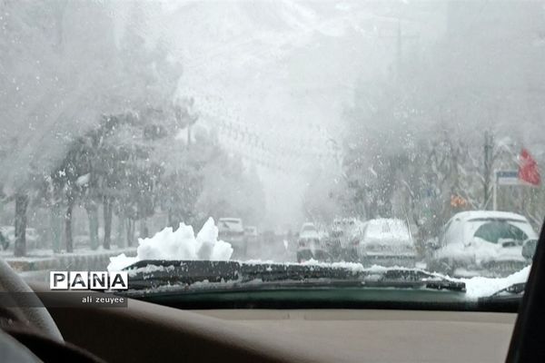 مشهد سفید پوش شد