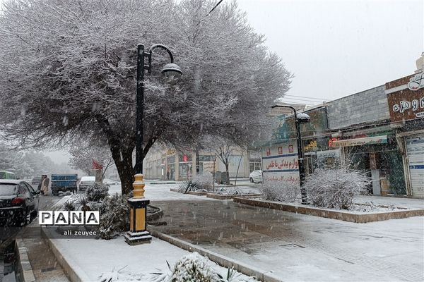 مشهد سفید پوش شد