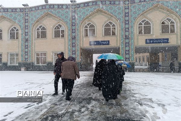 مشهد سفید پوش شد