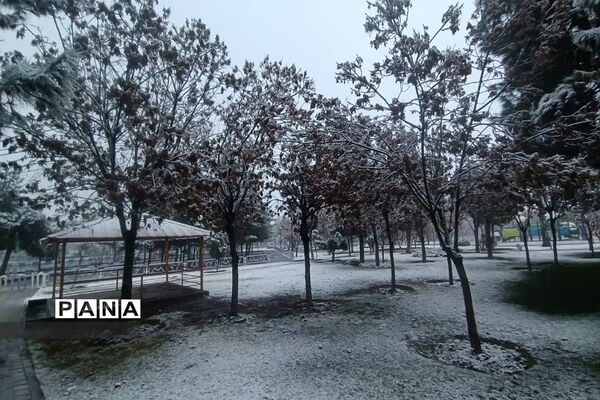 بارش برف زمستانی در فشافویه