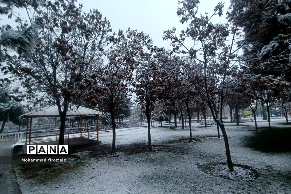 بارش برف زمستانی در فشافویه