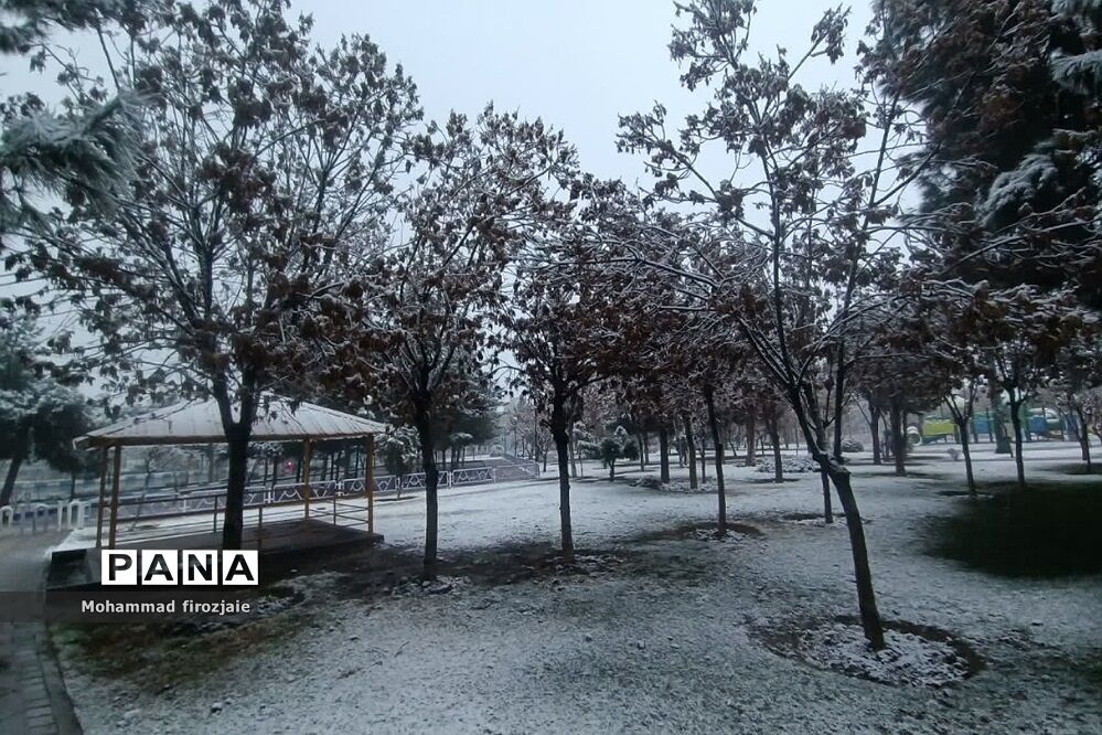 بارش برف زمستانی در فشافویه