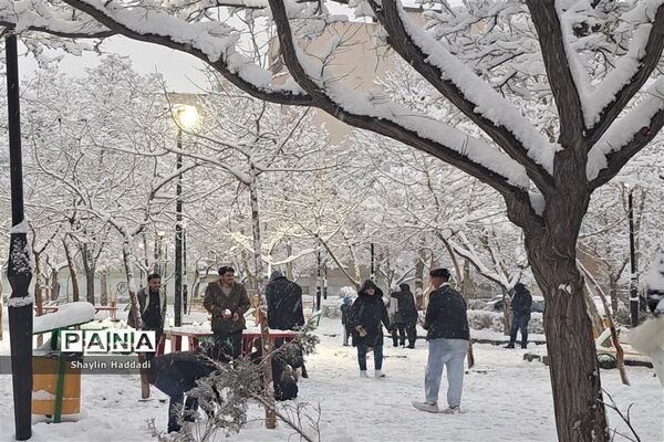 بارش برف زمستانی در مشهد