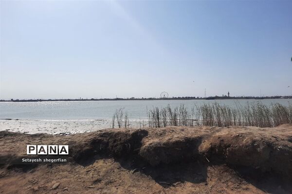 حضور دختران ناحیه ۶ مشهد در اردوی راهیان نور