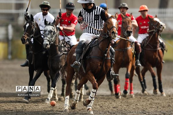 مسابقات لیگ ملی چوگان (جام فجر)