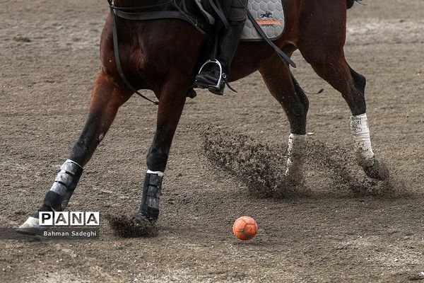 مسابقات لیگ ملی چوگان (جام فجر)