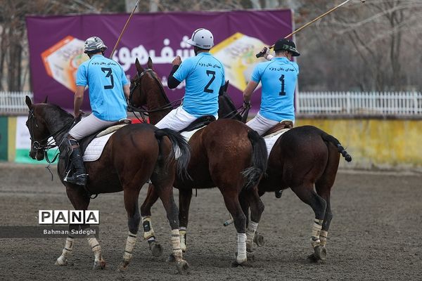 مسابقات لیگ ملی چوگان (جام فجر)