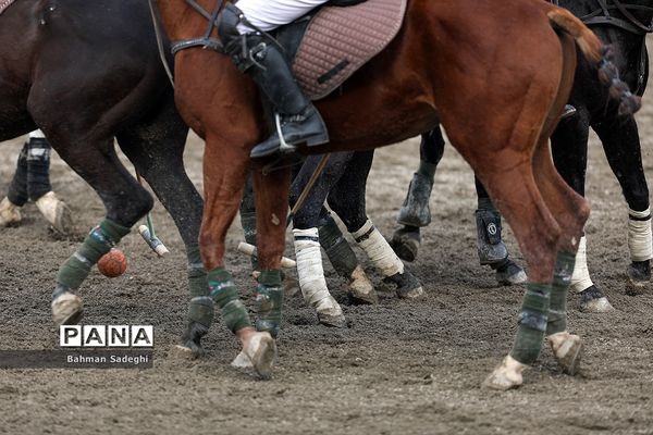 مسابقات لیگ ملی چوگان (جام فجر)