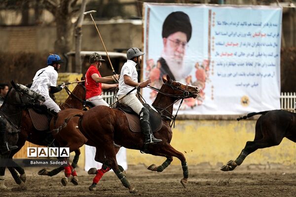 مسابقات لیگ ملی چوگان (جام فجر)