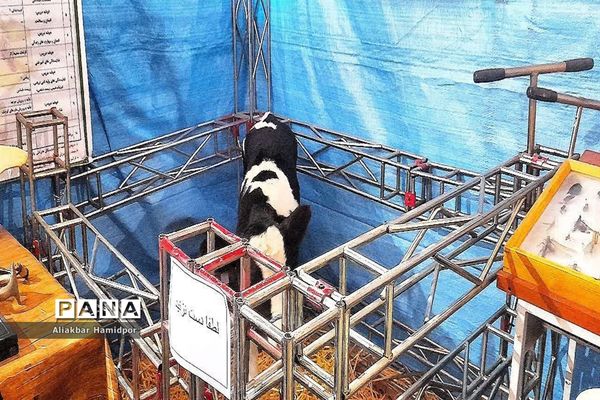 نمایشگاه ایده‌های خلاقانه دانش‌آموزی به‌مناسبت دهه فجر