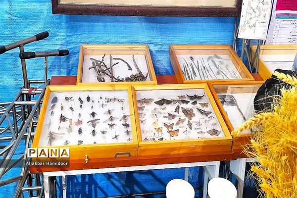 نمایشگاه ایده‌های خلاقانه دانش‌آموزی به‌مناسبت دهه فجر