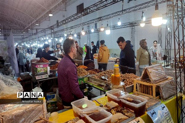نمایشگاه گل و گیاه و سوغات درقائمشهر
