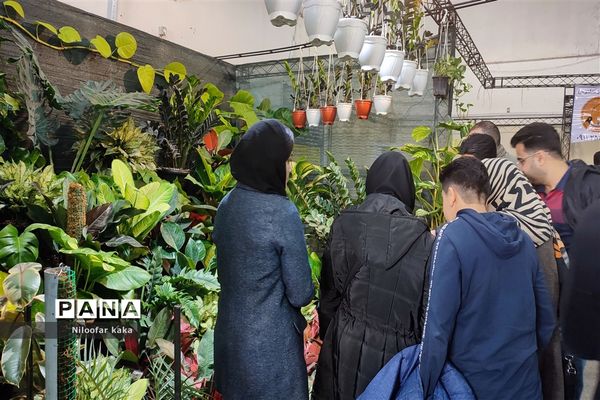 نمایشگاه گل و گیاه و سوغات درقائمشهر