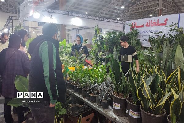نمایشگاه گل و گیاه و سوغات درقائمشهر