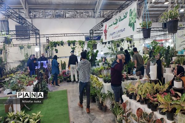 نمایشگاه گل و گیاه و سوغات درقائمشهر