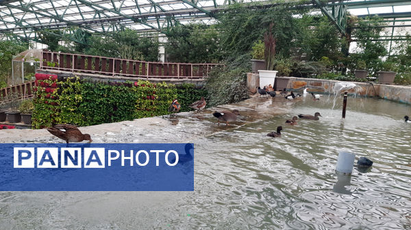 باغ پرندگان قم: جاذبه‌ای بی‌نظیر در قلب کشور