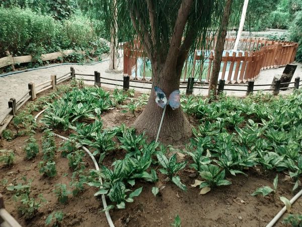 اردوی علمی تفریحی خبرنگاران پانای استان اصفهان