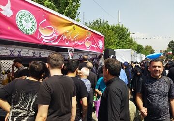 خیل عاشقان در مسیر دلدادگی جاماندگان اربعین