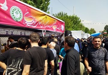 خیل عاشقان در مسیر دلدادگی جاماندگان اربعین