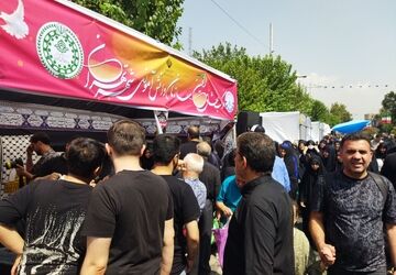 خیل عاشقان در مسیر دلدادگی جاماندگان اربعین