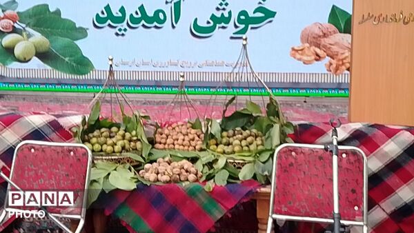 سلسله، میزبان جشنواره تخصصی گردو شد