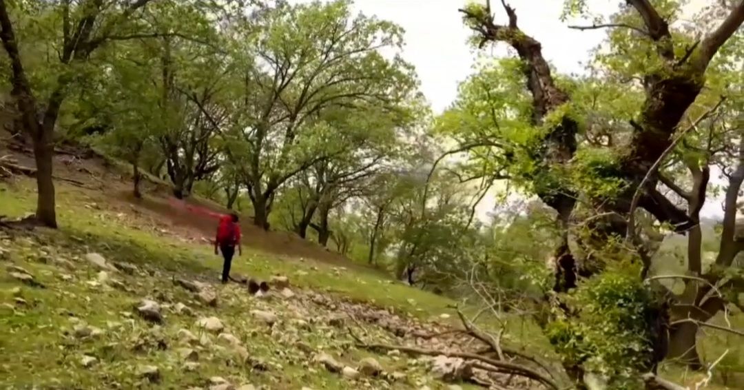 لرستان، سرزمینی با جاذبه‌های بی‌نظیر برای هر سلیقه‌ای/ فیلم