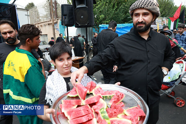 پیاده‌روی جاماندگان اربعین حسینی - تهران