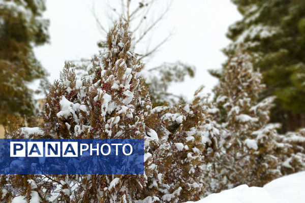 یک روز برفی در روستای بنادکوک‌ دیزه