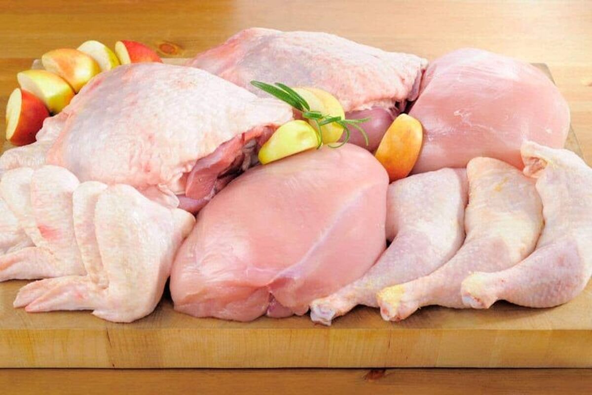 قیمت انواع گوشت بوقلمون بسته بندی و قطعه بندی اعلام شد