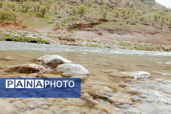 بهار، آغاز دوباره‌ی زندگی طبیعت 