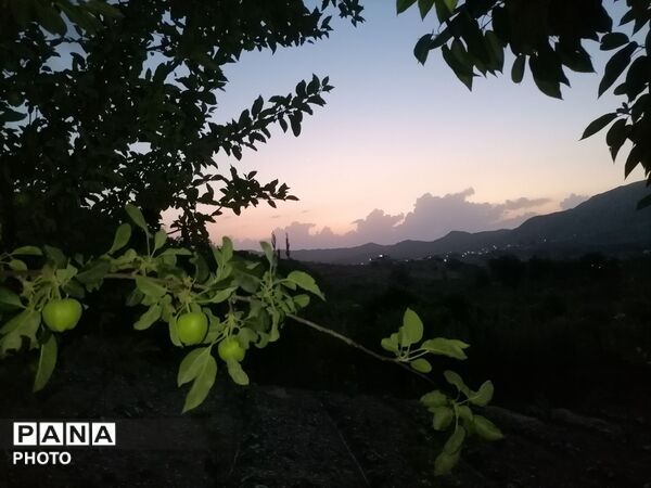 اینبار طبیعت زیبای شهر بار نیشابور در قاب پانا