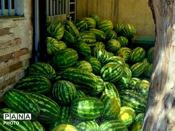 خدمت‌رسانی موکب عاشقان ولایت به عزاداران در مراسم وداع بارهبر شهید