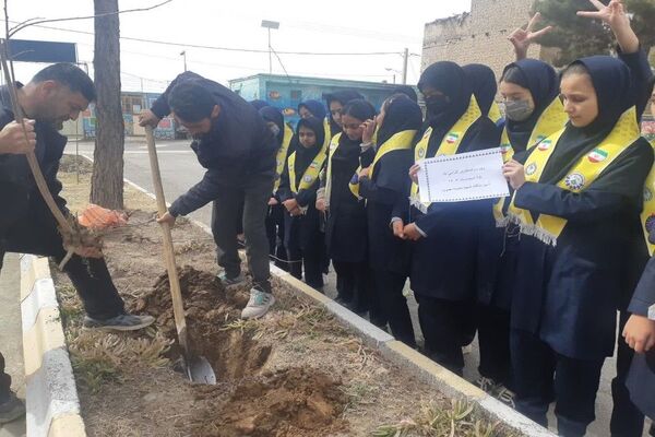 کاشت نهال به مناسبت روز درخت کاری دردبیرستان شهید مجید دهنوی 