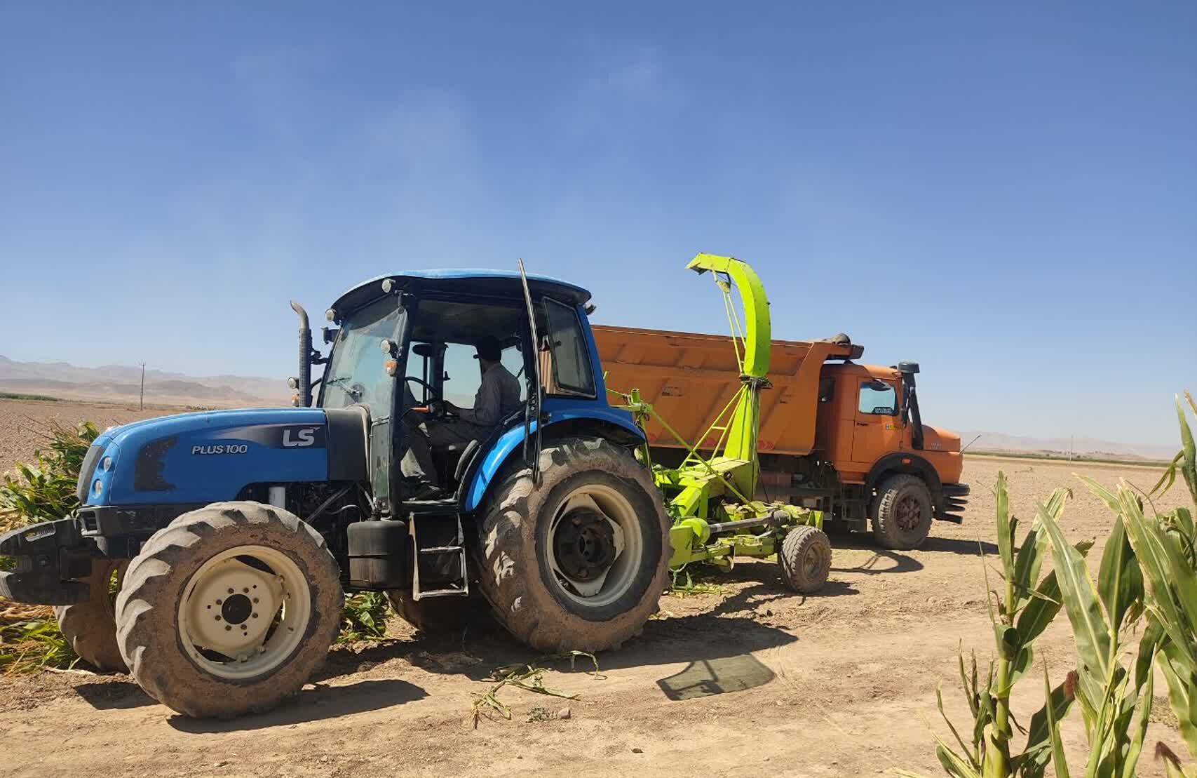 جمع آوری ذرت علوفه ای در روستاهای شهرستان فاروج 