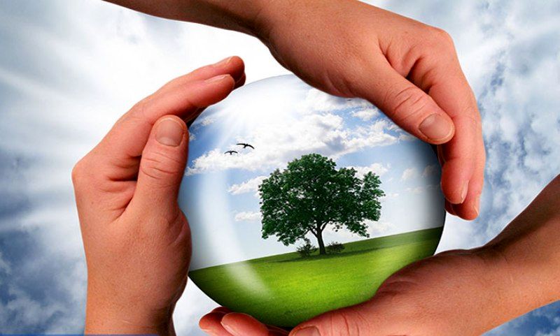 روز ملی محیط زیست یادآور مسئولیت جمعی ما در قبال طبیعت است