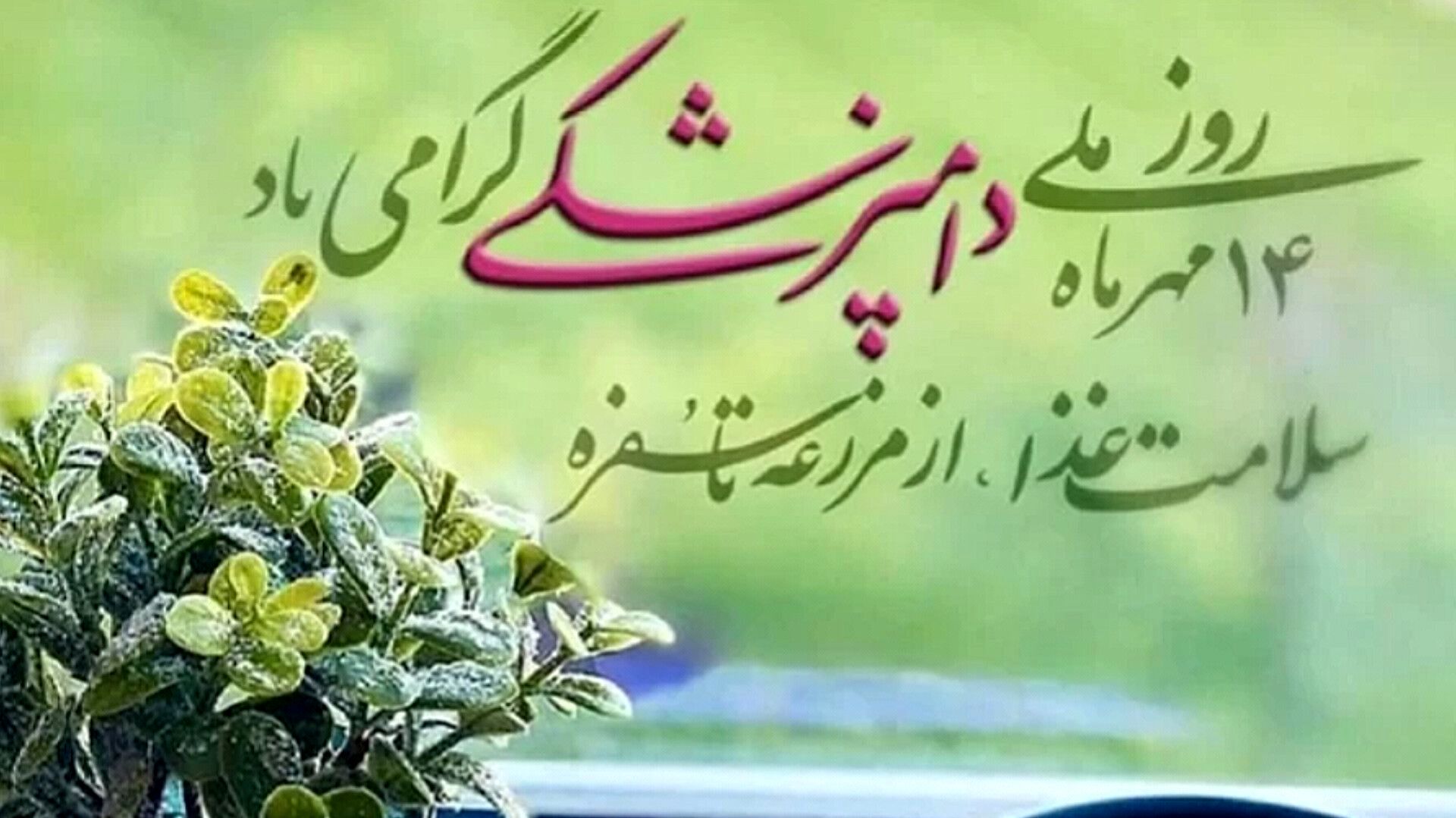 گرامیداشت روز دامپزشک؛ تجلیل از قهرمانان سلامت جامعه