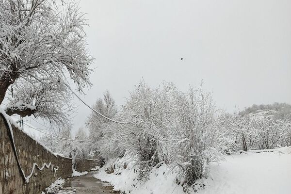 بارش باران و برف در شهر زیبای بار و شادی مردم از نزول رحمت الهی