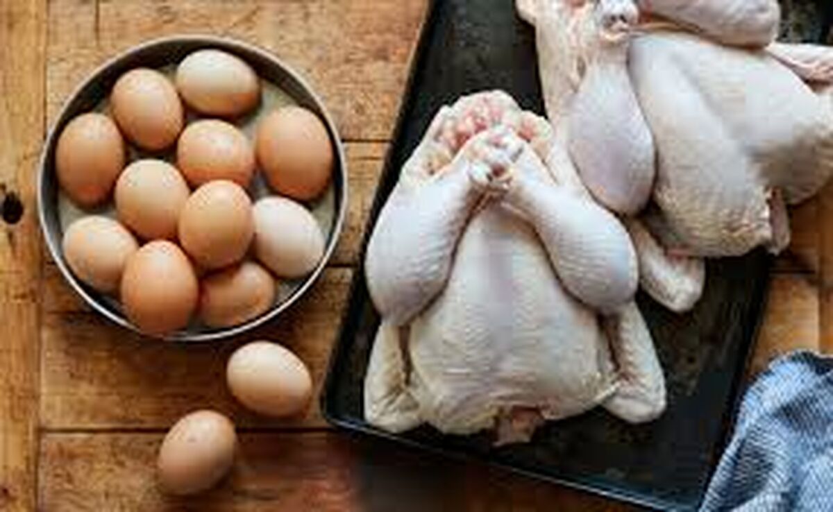 قند و گوشت مرغ مدیریت شده، صادر می‌شود