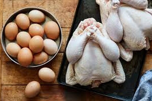 قند و گوشت مرغ مدیریت شده، صادر می‌شود