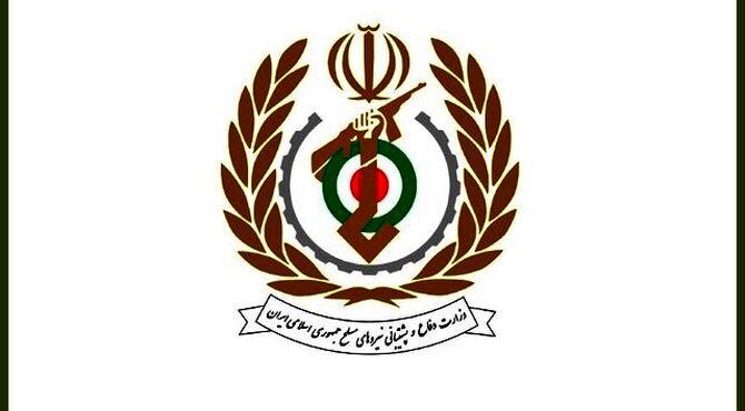 معاون هماهنگ‌کننده وزارت دفاع منصوب شد