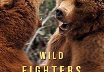 دوبله یک مستند حیات وحش برای تلویزیون