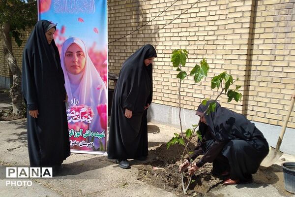 کاشت نهال به یاد یاسمن‌های میناب و شهیده دانش‌آموز نازنین زهرا سیفی 