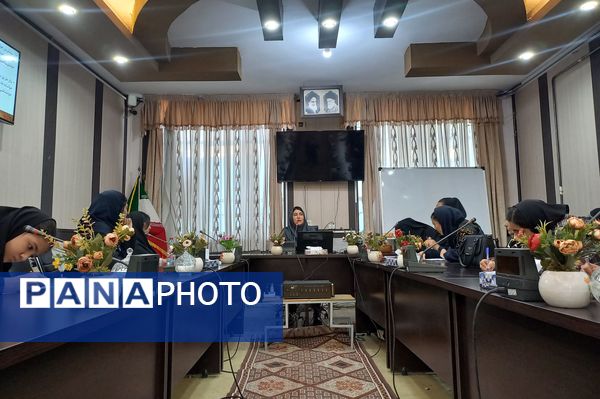 توانمندسازی همیار مشاوران مدارس ناحیه ۳ شیراز