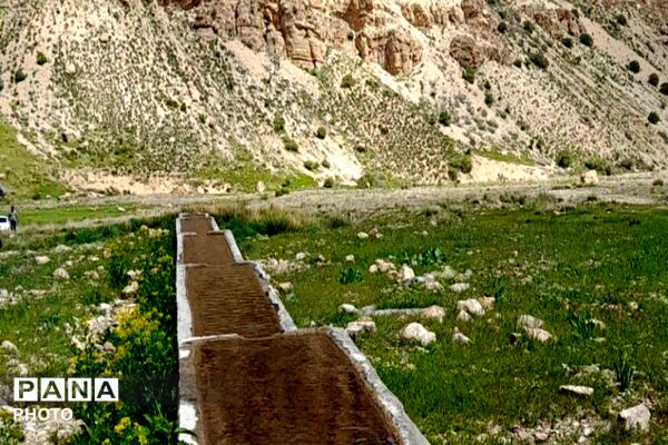 کوه های شهر بار ذخیره‌گاه گیاهان ارزشمند و کم نظیر دارویی 
