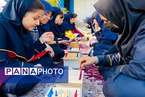 اردوی طرح تمشک در کرمان