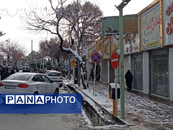 برف میهمان کاشمر شد